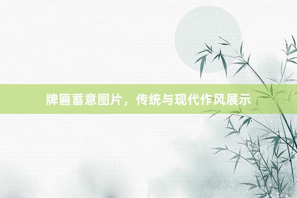 牌匾蓄意图片，传统与现代作风展示