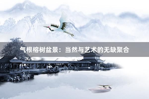 气根榕树盆景：当然与艺术的无缺聚合