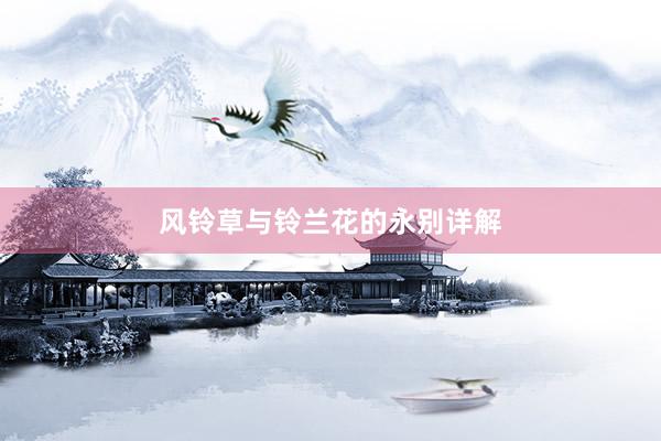 风铃草与铃兰花的永别详解
