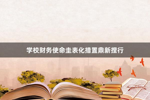 学校财务使命圭表化措置鼎新捏行